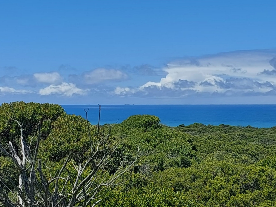 0 Bedroom Property for Sale in Agulhas Western Cape